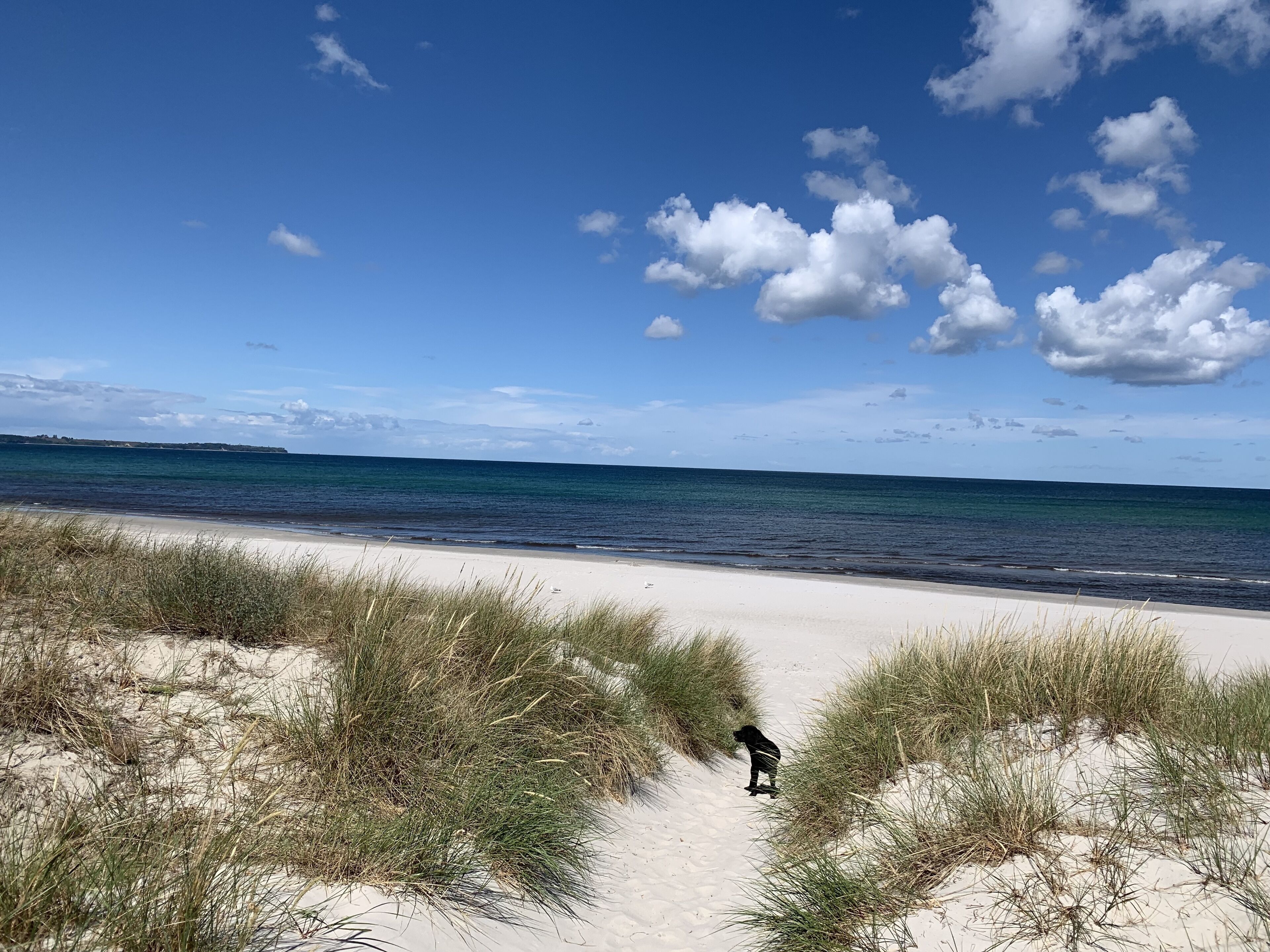 Die Schaabe...unser Lieblingsstrand