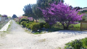 A gravel path flanked by purple flowering trees and green shrubs. - Beautiful, lovingly furnished holiday home near the beach with sea views (Narbonne)