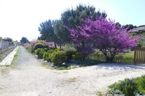 المنطقة المحيطة بالمنشأة