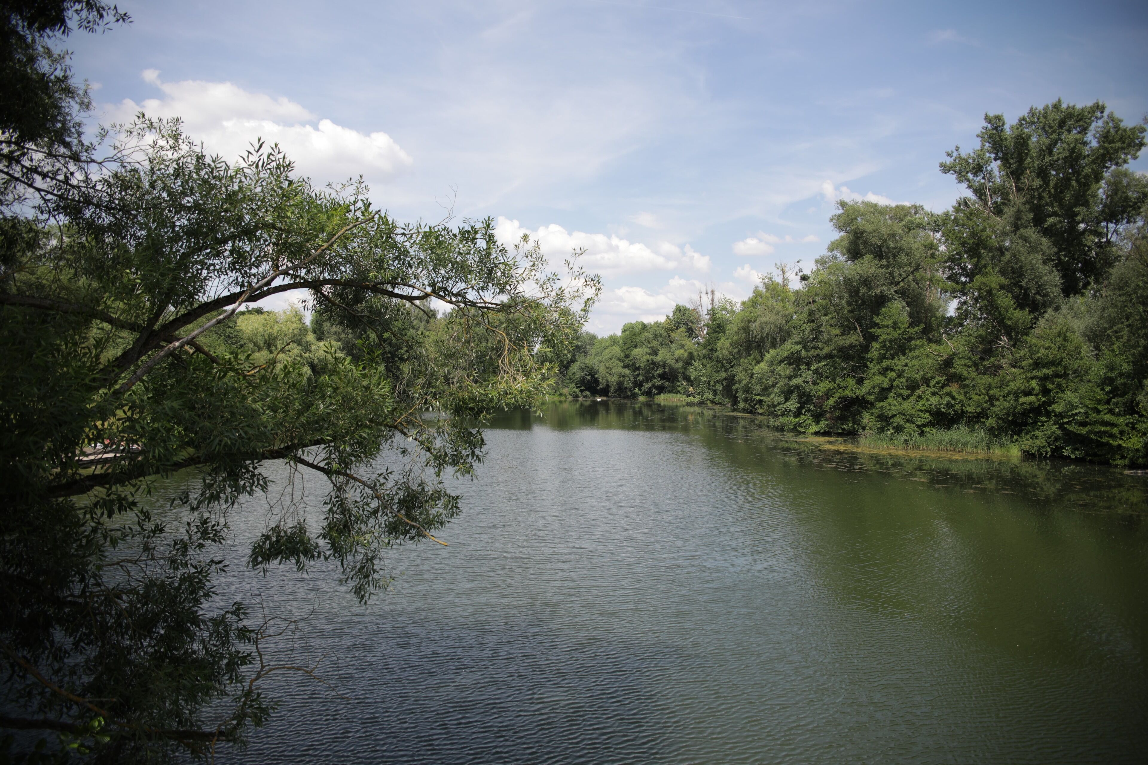 Um rio calmo rodeado por vegetação densa e árvores.