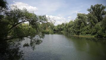 Um rio calmo rodeado por vegetação densa e árvores.
