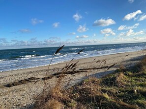 A beach with waves, pebbles, and grasses. - La Casa Ferienwohnung Uferschwalbe - La Casa Apartment Uferschwalbe (Steinberg)
