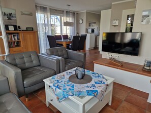 Smart TV, fireplace, DVD player, books