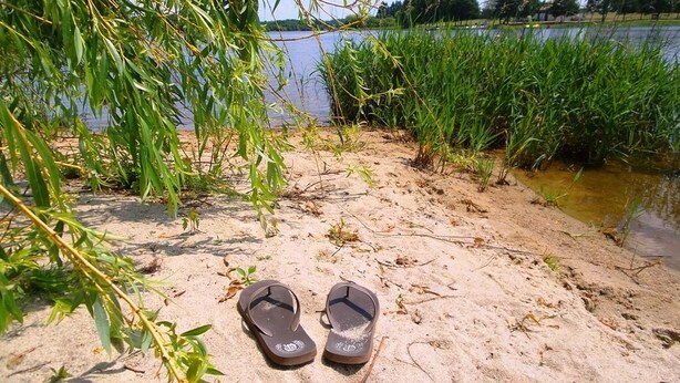 A pair of flip-flops on a sandy beach with water and vegetation in the background.