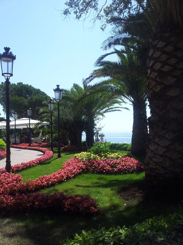 Un jardín con un sendero curvo, palmeras y vista al mar.