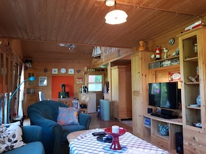 Una Smart TV, una chimenea, un reproductor de DVD