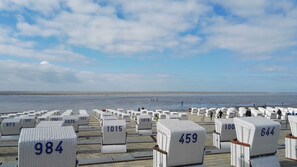 Vlak bij het strand
