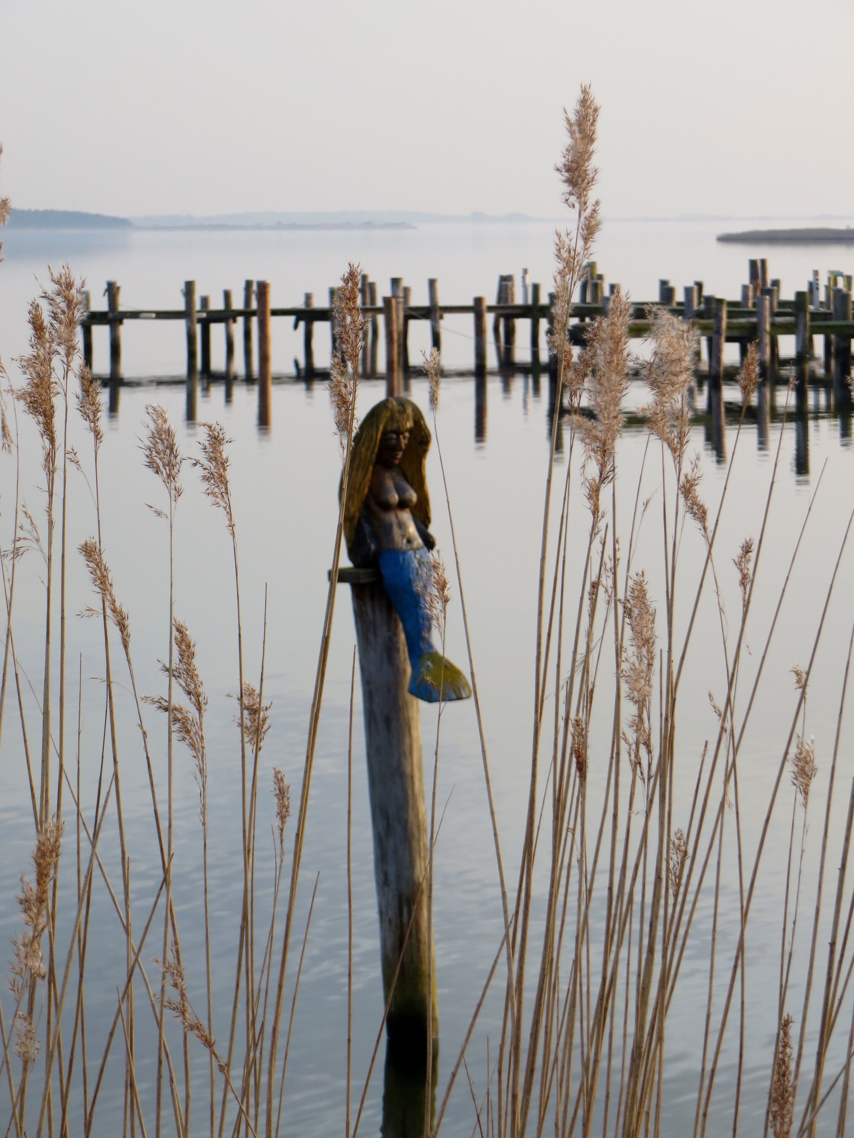 A statue of a woman on a wooden post surrounded by tall grasses.