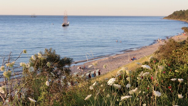 Strand