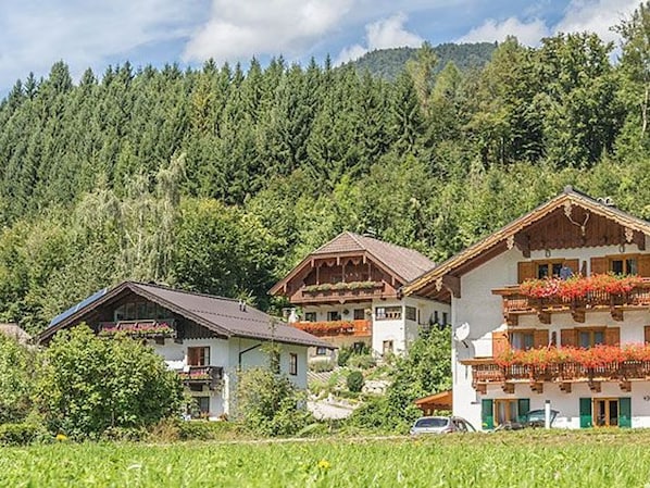 Esterni
