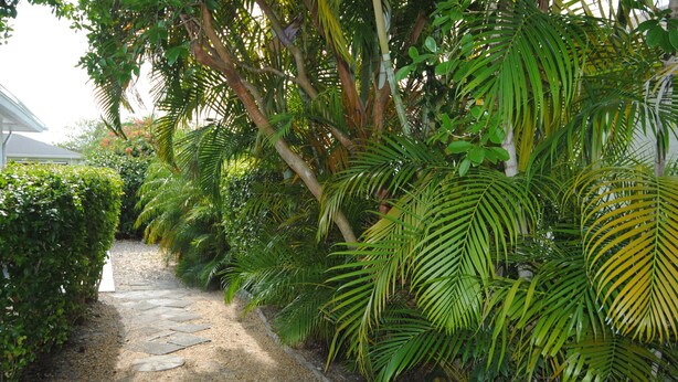A stone pathway leading through a lush garden with various tropical plants and a white building in the background. - Top location, heated privat pool, Wi-Fi, Tropical Garden, Child- and petfriendly (Cape Coral)