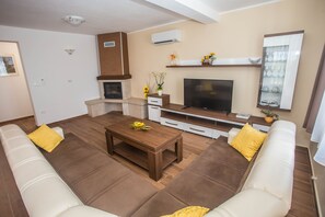 TV, fireplace, stereo - Beautiful villa with swimming pool, SPECTACULAR view, barbecue, free WiFi (Visnjan)