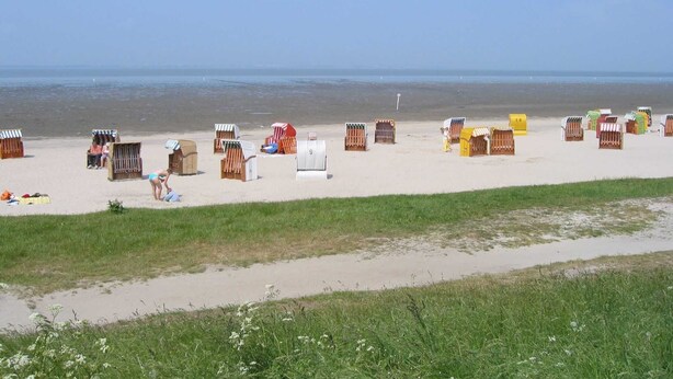 Une plage bordée de rangées de cabanes en bois et, au premier plan, une zone herbeuse.