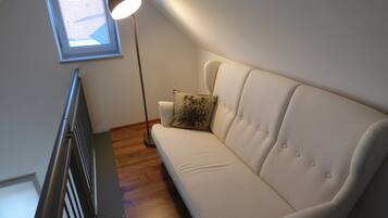 Smart TV, DVD player, books, video library