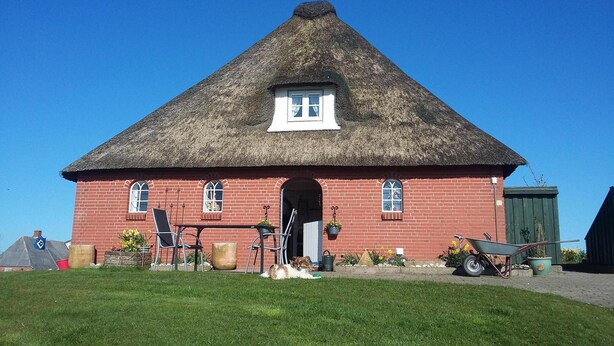 A red brick building with a thatched roof, a small window, and a door. There are outdoor chairs and a wheelbarrow in front. - North Sea Near Apartment under thatch (Ockholm)