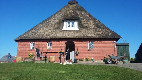 Pohjanmeren lähellä Huoneisto kuontalo