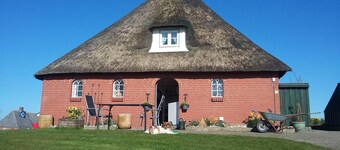Traumblick auf den alten Nordseedeich, Ferien im Reetdachhaus auf der Warft