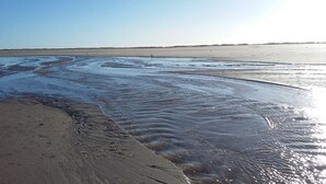 A beach with wet sand and gentle waves. - North Sea Near Apartment under thatch (Ockholm)