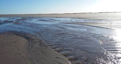 Traumblick auf den alten Nordseedeich, Ferien im Reetdachhaus auf der Warft