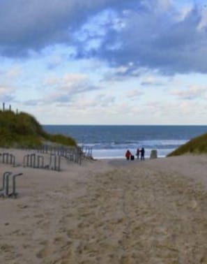 Beach nearby - Huoneisto, Puutarha ja Terassi, Lähellä Rantaa, Järveä ja Metsää (Petten)