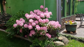 Property grounds - Your holiday home in the countryside **** (Diez)