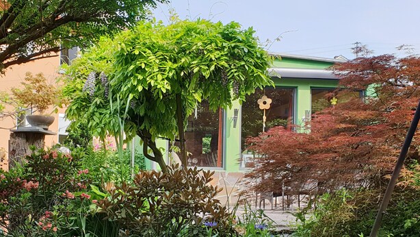 Un jardin avec différentes espèces de plantes et un bâtiment doté de grandes fenêtres.