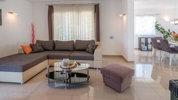 Smart TV, caminetto, lettore DVD, libri