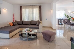 TV connectée, cheminée, lecteur de DVD, livres