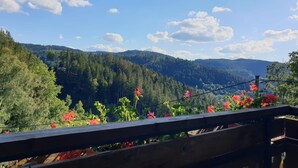 Un balcon offrant une vue sur une chaîne de montagnes boisée et un ciel dégagé.
