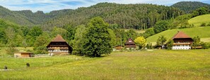 Ländliche Landschaft mit traditionellen Holzhäusern, einem großen Baum und einem Berg im Hintergrund.
