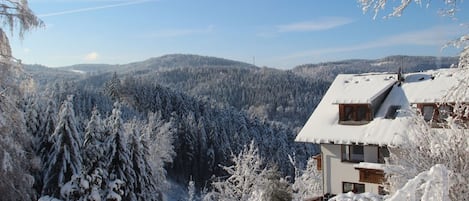 Un paisaje cubierto de nieve con un edificio que tiene techo inclinado y varias ventanas.