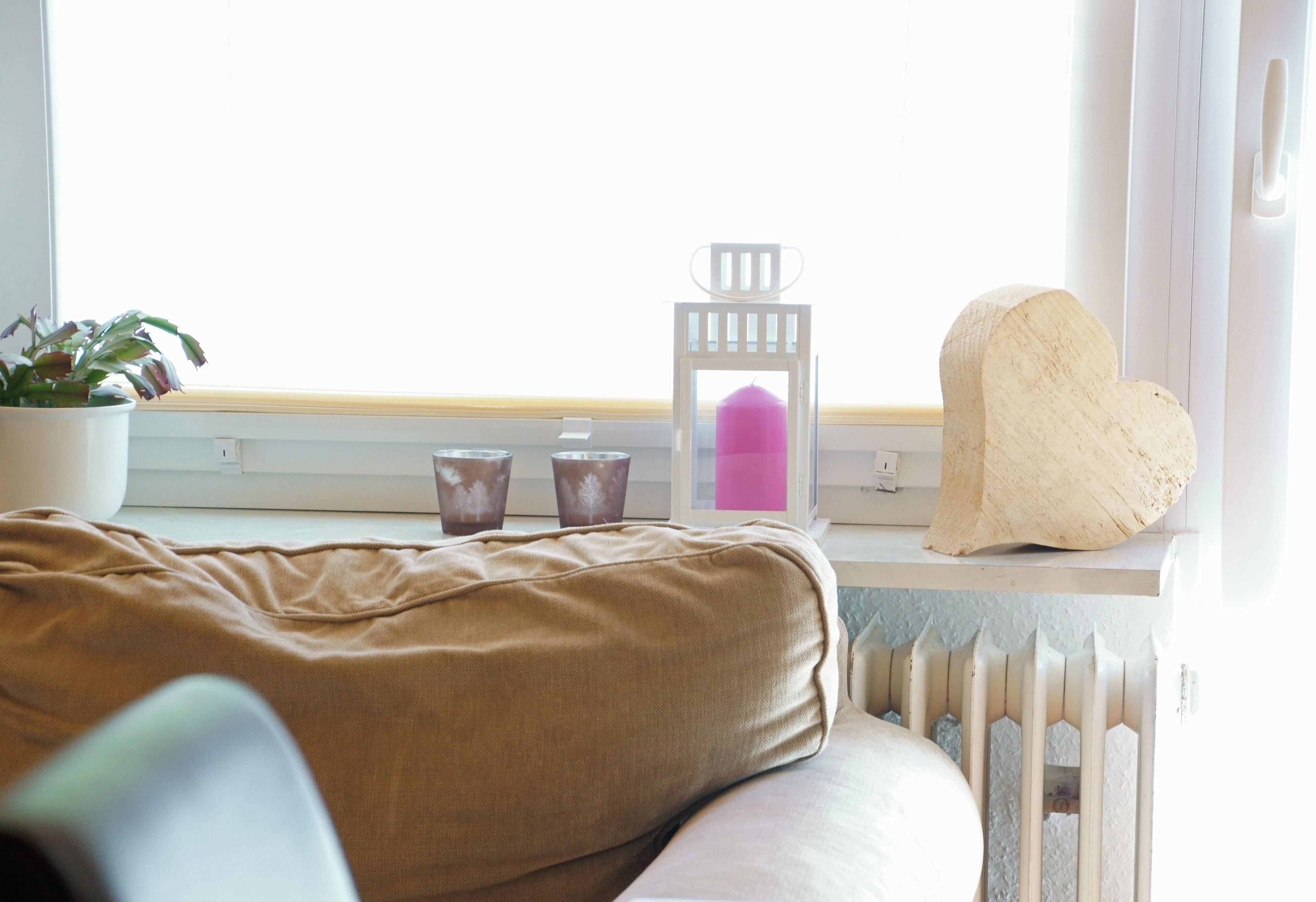 Une pièce avec une fenêtre, un radiateur, une plante en pot et un objet décoratif en forme de cœur posé sur une étagère.