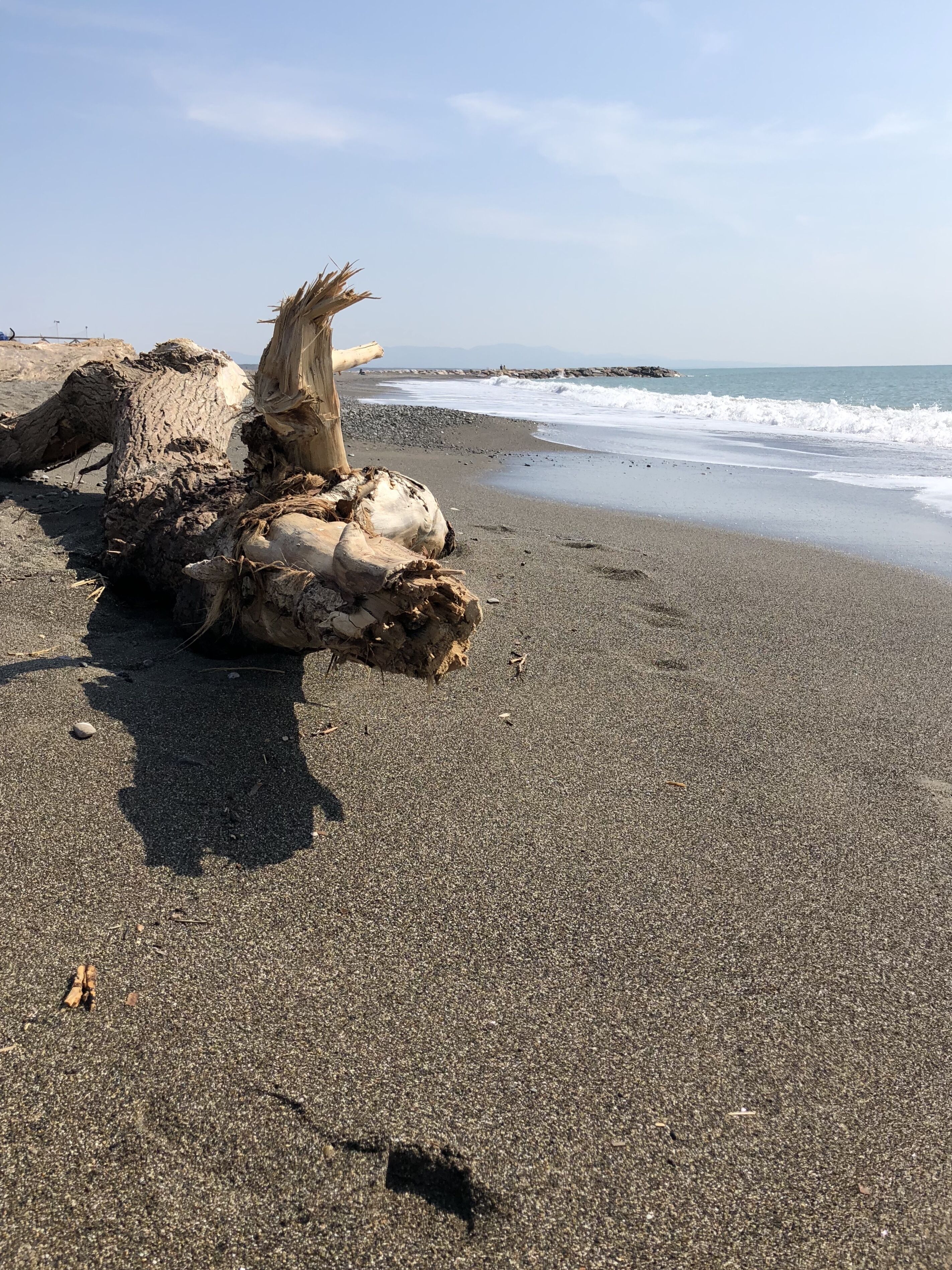 Plage à proximité, chaises longues