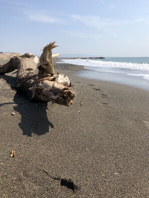 Una spiaggia nelle vicinanze, lettini da mare
