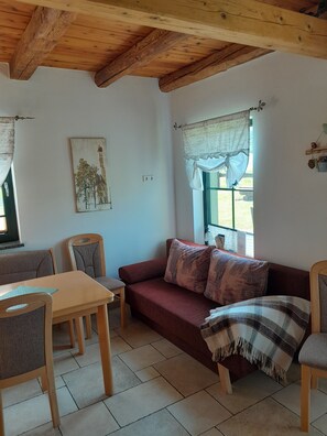 TV, fireplace, books, stereo - Cozy vacation home in a three-sided farm in Sora, Upper Lusatia fully equipped (Wilthen)