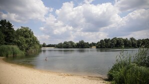 Une plage de sable bordée d’un lac paisible, le tout entouré d’une végétation luxuriante et d’arbres.