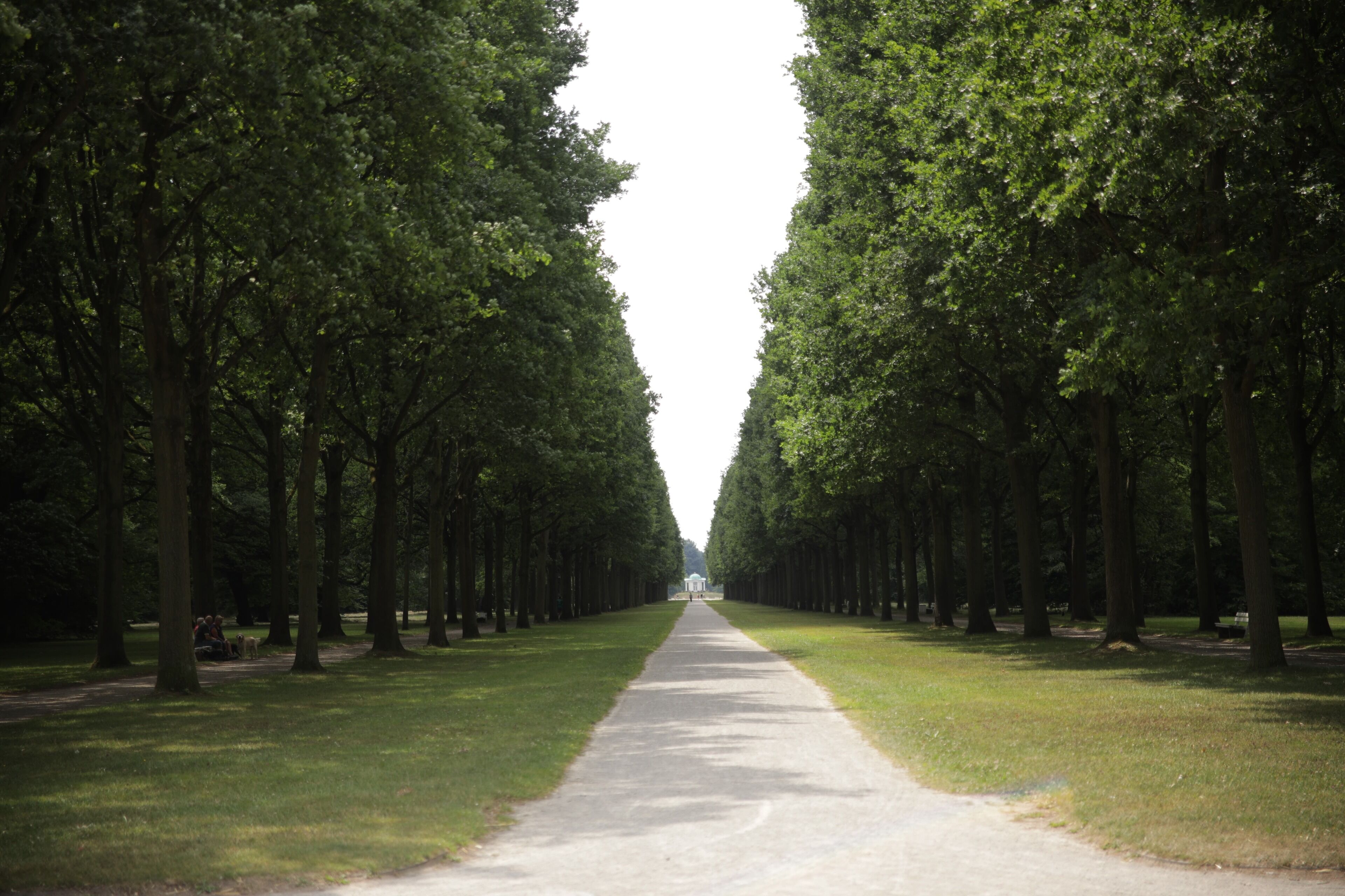 Un vialetto alberato in un parco.
