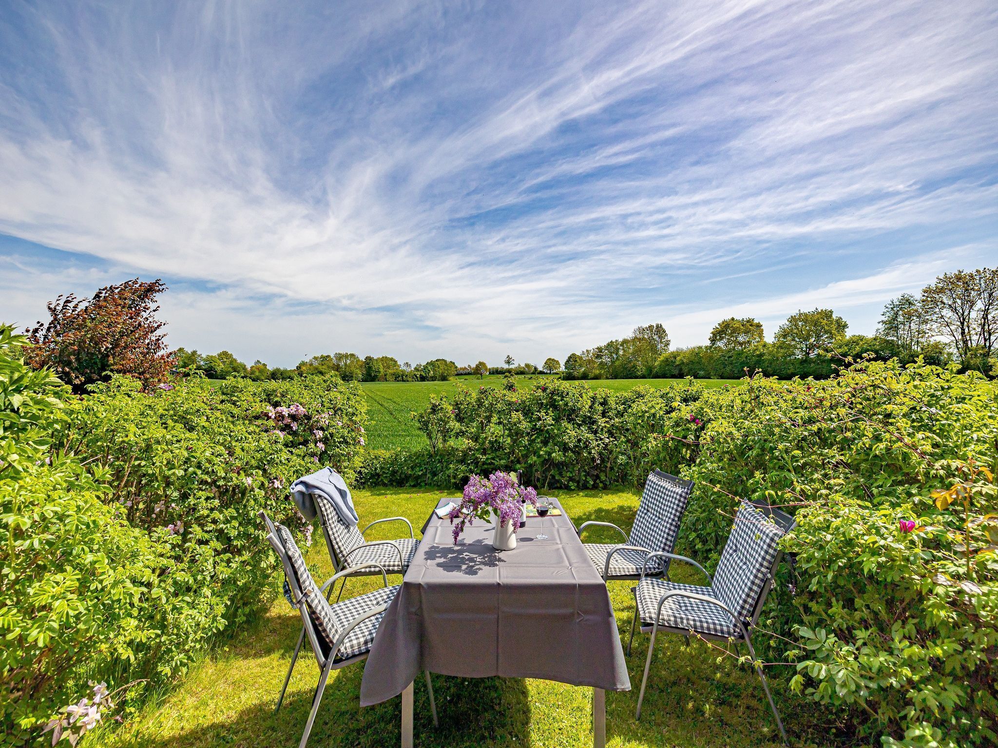 A table set outdoors with a view of a green field and trees in the background.