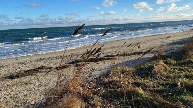 A beach with waves, pebbles, and grasses.