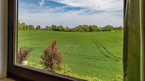 A view through a window of a green field with trees in the distance and a clear sky.