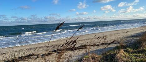 Beach nearby