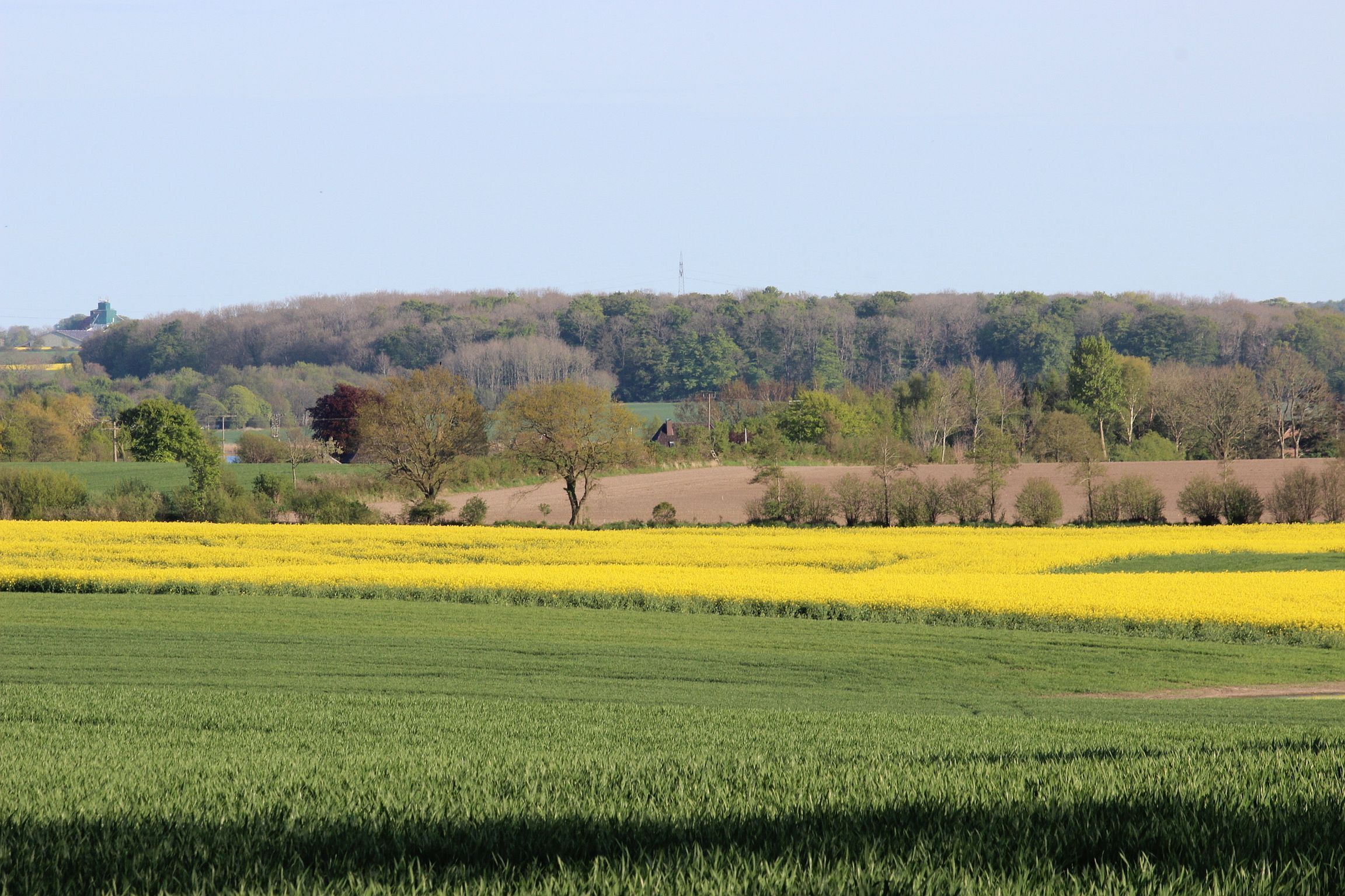 A rural landscape with fields of green crops and yellow flowers, a hill with trees, and a distant tower.