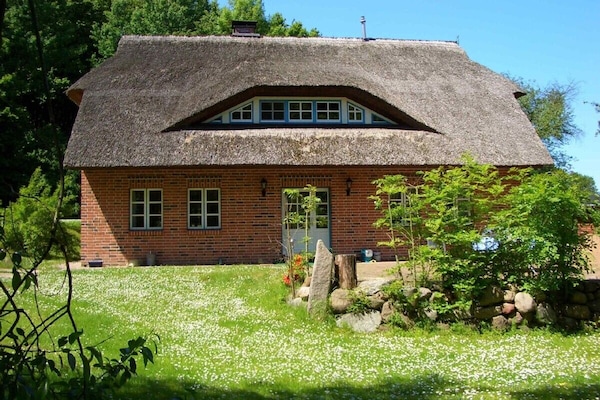 Reetdach Haus Südost Rügen