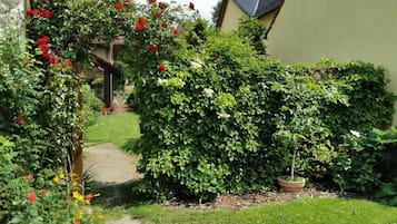 Un jardin avec un chemin menant à une maison.