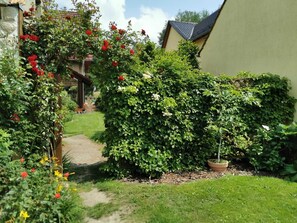 Botón de imagen sin clasificar, 5 de 29