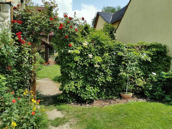 Ein Garten mit einem Weg, der zu einem Haus führt.