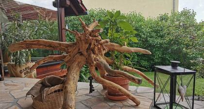 Ferienwohnung Big Mama's Home - Big Mama's Home