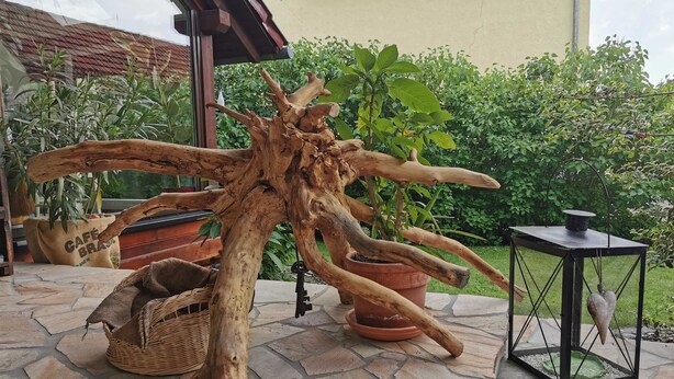 A stone patio with a rustic wooden sculpture, potted plants, and a lantern.