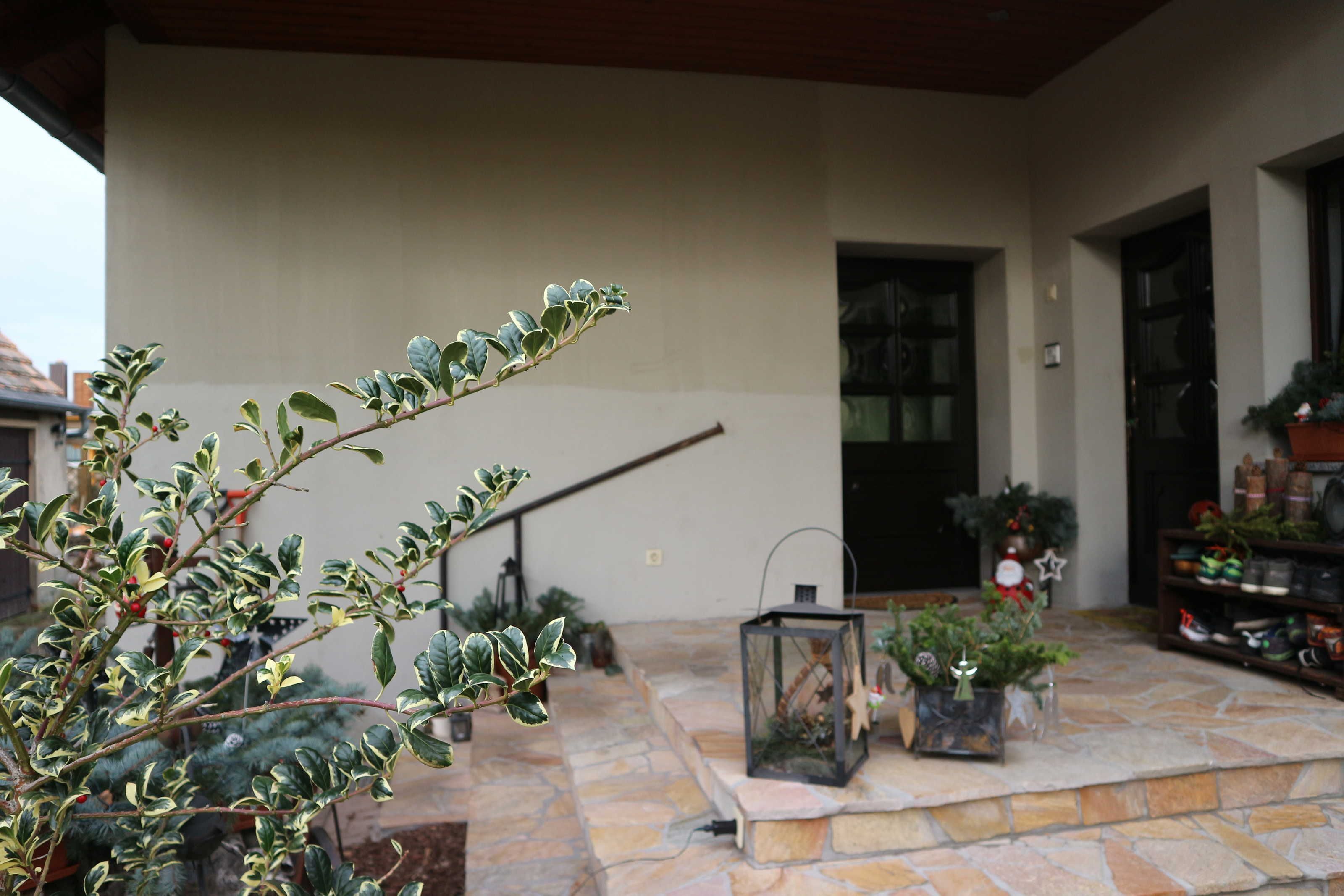 A stone patio with potted plants, a lantern, and a door leading to a building.
