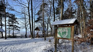 A snow-covered forest with wooden shelters and a map sign.